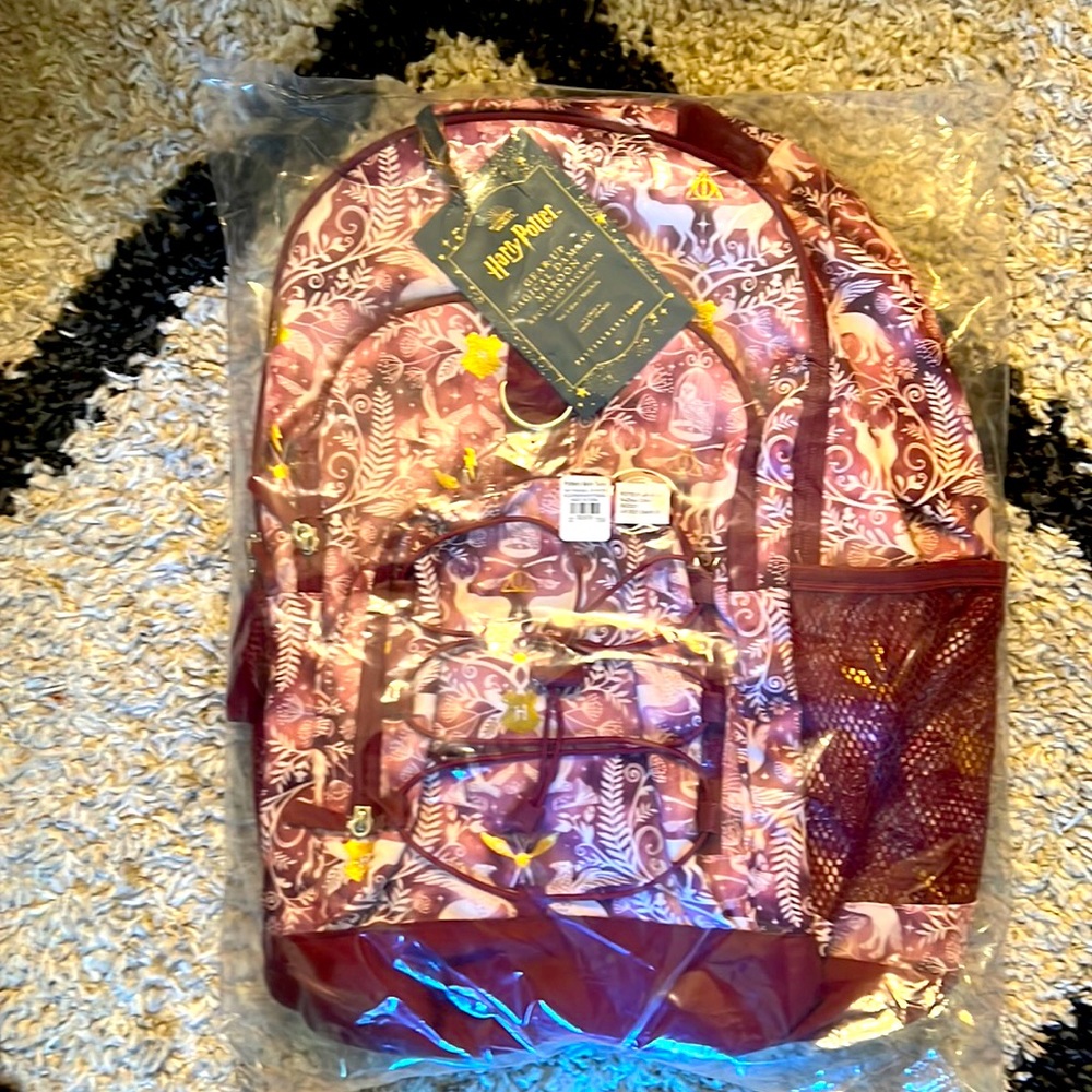 Pottery barn teen back pack
